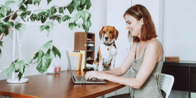 Woman working from home on laptop with dog.